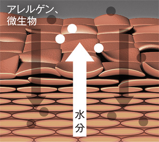 アレルゲン、微生物